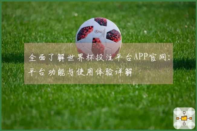 全面了解世界杯投注平台APP官网：平台功能与使用体验详解