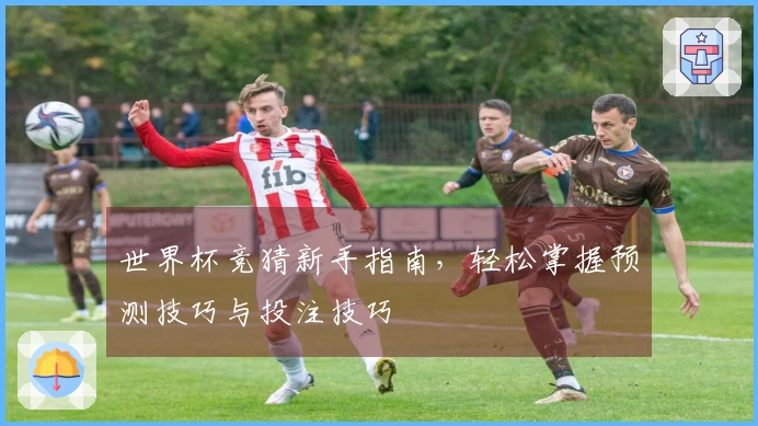 世界杯竞猜新手指南，轻松掌握预测技巧与投注技巧