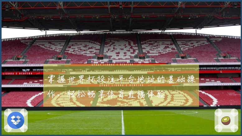 掌握世界杯投注平台地址的基础操作,轻松畅享体育直播体验
