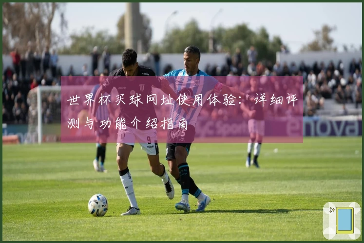 世界杯买球网址使用体验：详细评测与功能介绍指南