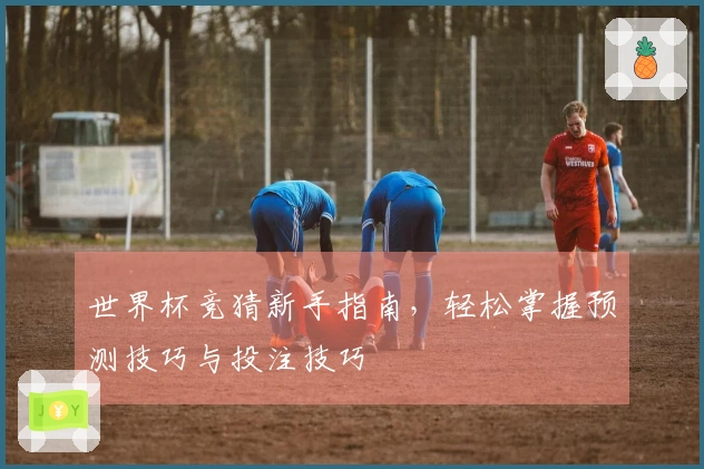 世界杯竞猜新手指南，轻松掌握预测技巧与投注技巧