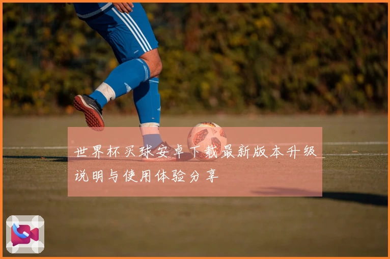 世界杯买球安卓下载最新版本升级说明与使用体验分享