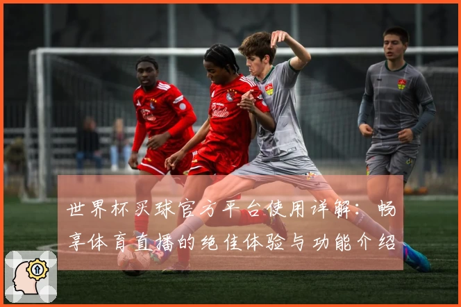 世界杯买球官方平台使用详解：畅享体育直播的绝佳体验与功能介绍