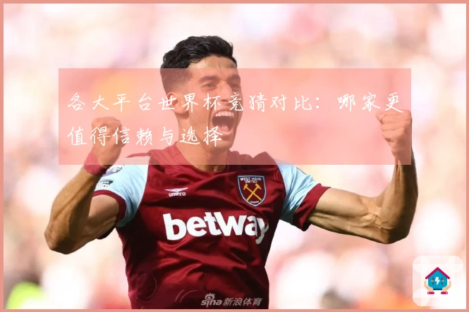 各大平台世界杯竞猜对比：哪家更值得信赖与选择