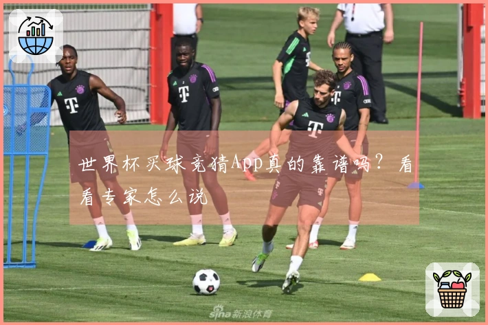 世界杯买球竞猜App真的靠谱吗？看看专家怎么说