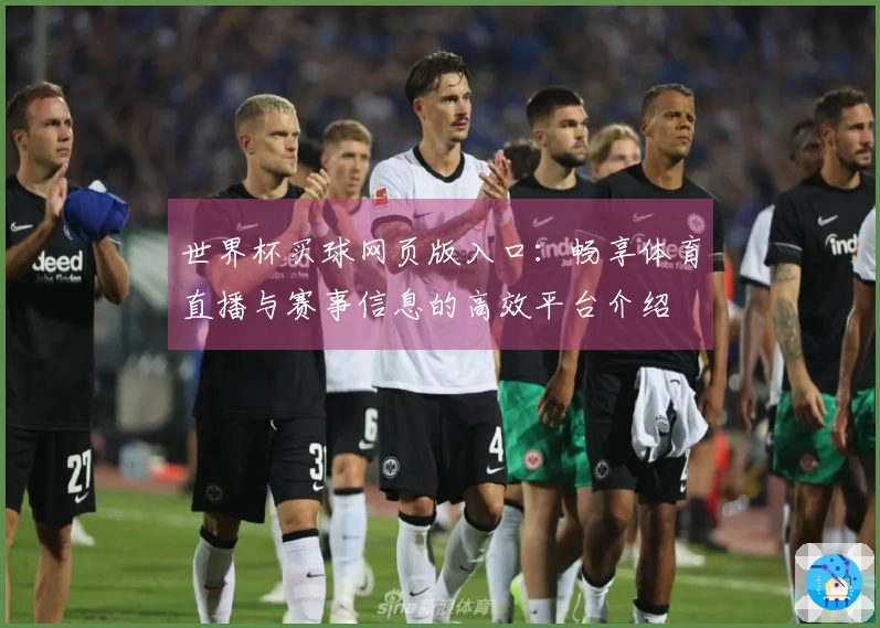 世界杯买球网页版入口：畅享体育直播与赛事信息的高效平台介绍