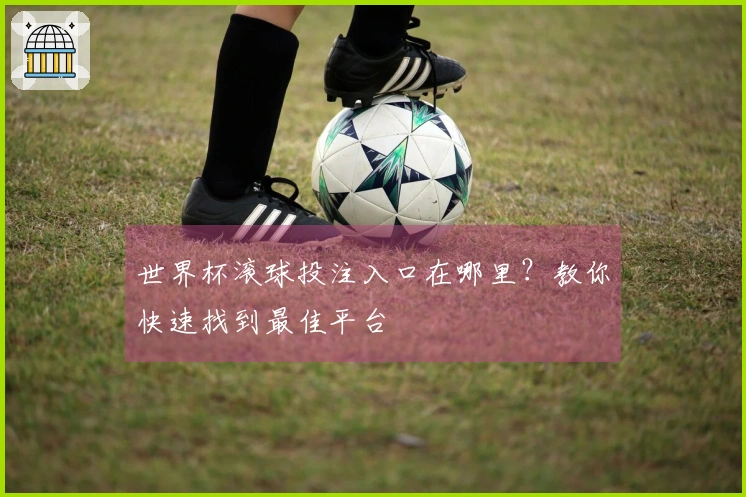 世界杯滚球投注入口在哪里？教你快速找到最佳平台