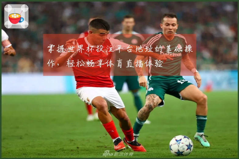 掌握世界杯投注平台地址的基础操作，轻松畅享体育直播体验