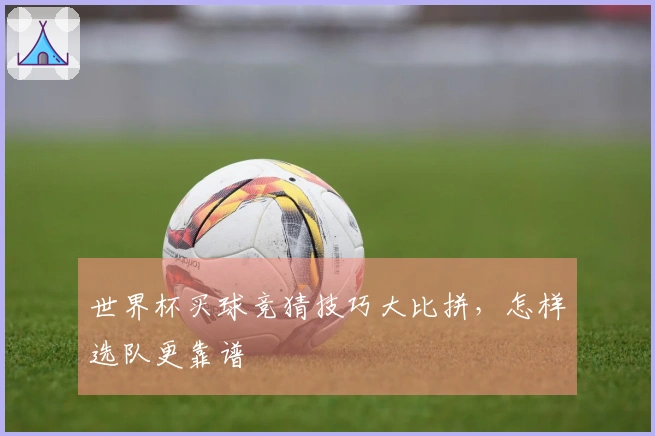 世界杯买球竞猜技巧大比拼，怎样选队更靠谱