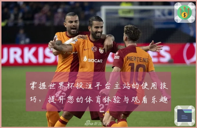 掌握世界杯投注平台主站的使用技巧,提升您的体育体验与观看乐趣