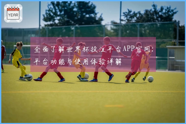 全面了解世界杯投注平台APP官网：平台功能与使用体验详解