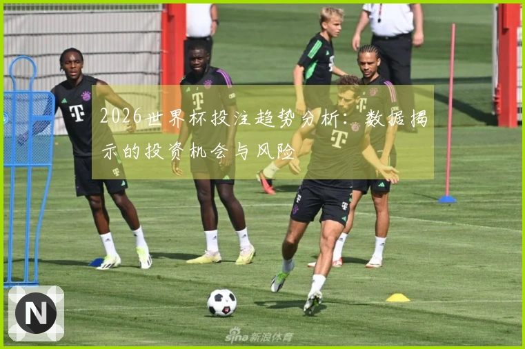 2026世界杯投注趋势分析：数据揭示的投资机会与风险