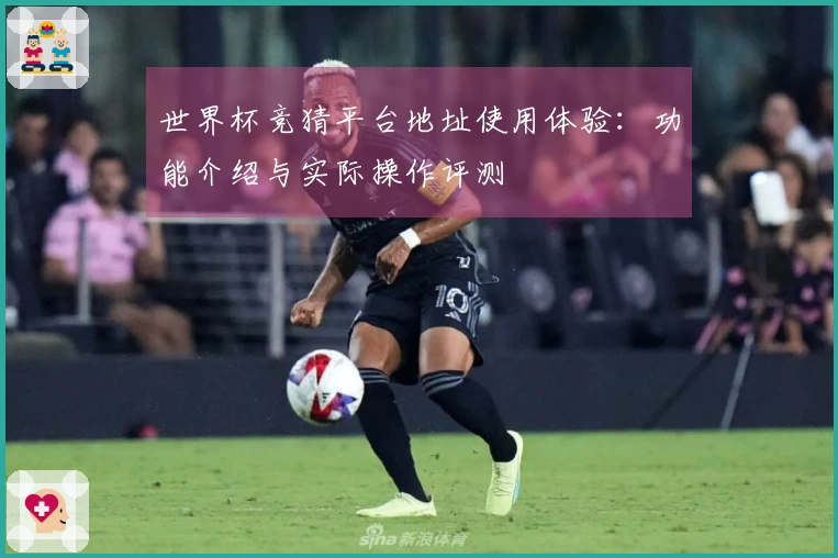 世界杯竞猜平台地址使用体验：功能介绍与实际操作评测