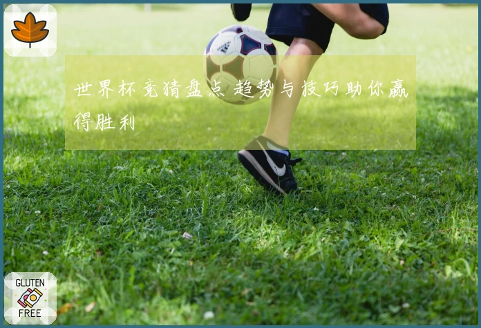 世界杯竞猜盘点 趋势与技巧助你赢得胜利