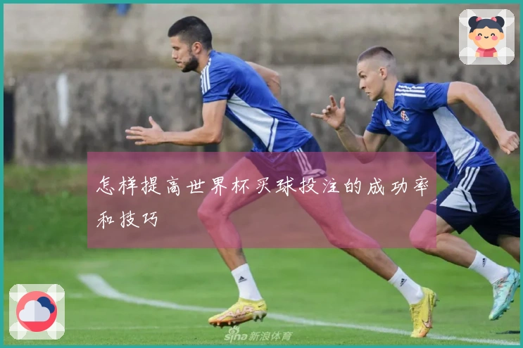 怎样提高世界杯买球投注的成功率和技巧