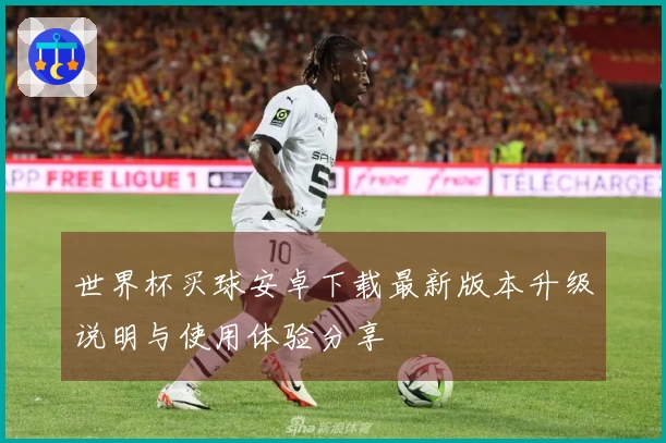 世界杯买球安卓下载最新版本升级说明与使用体验分享