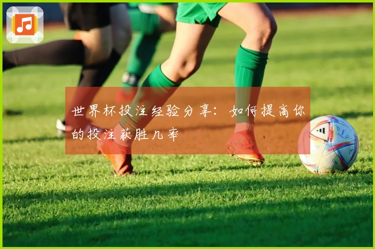 世界杯投注经验分享:如何提高你的投注获胜几率